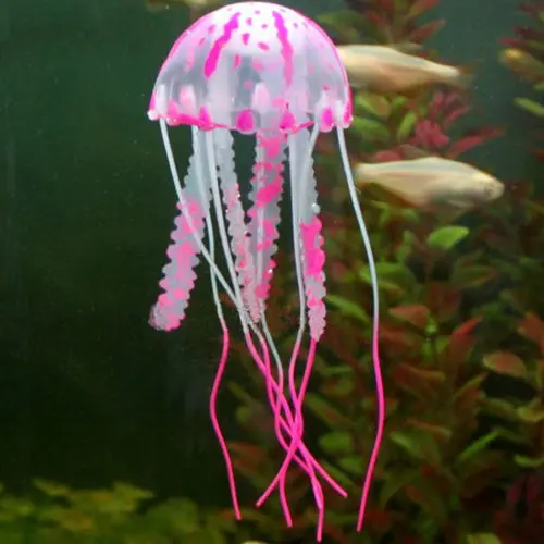 Jellyfish pink