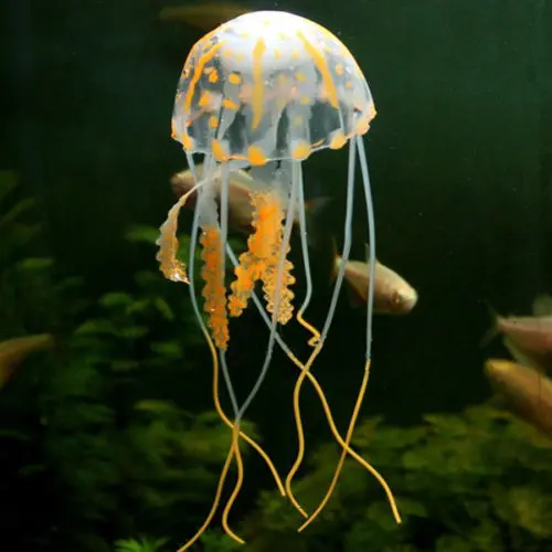 Jellyfish orange