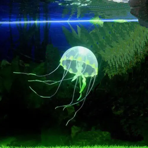 Jellyfish green