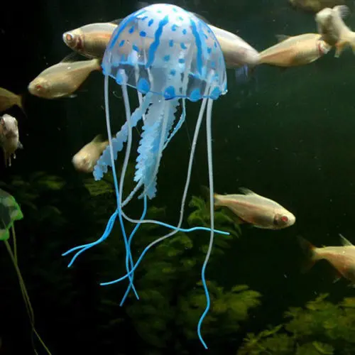 Jellyfish blue