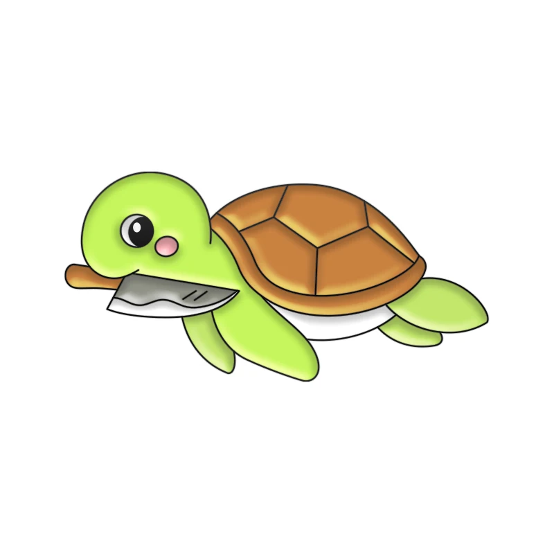 turtle